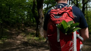 Carrefour des 3 chênes - Cueillette du premier muguet