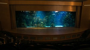 Valencia - Musée Océanographique