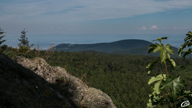 Vue sur le Mt Saint Odile